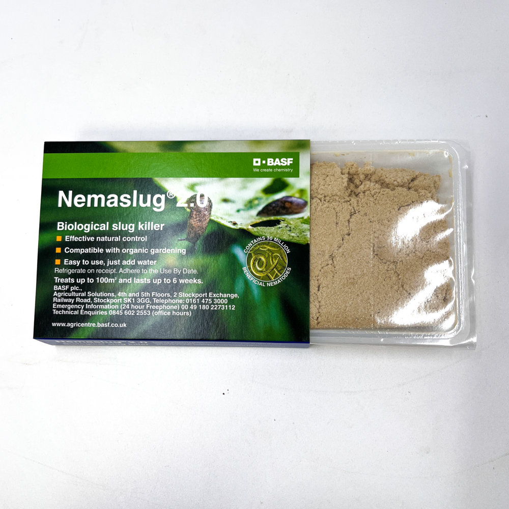 Slug Nematodes - Nemaslug Slug Killer - 100m2